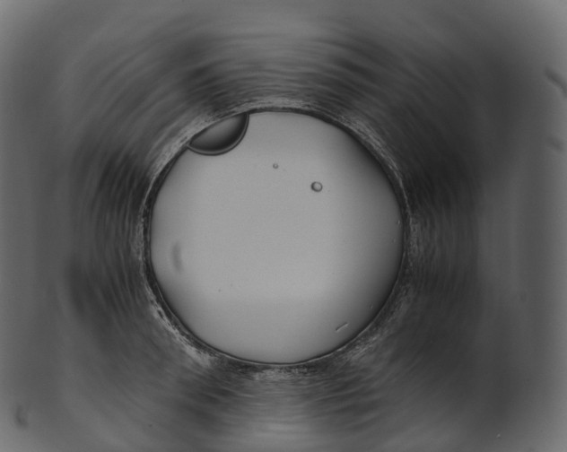 X0000100490898200807031913