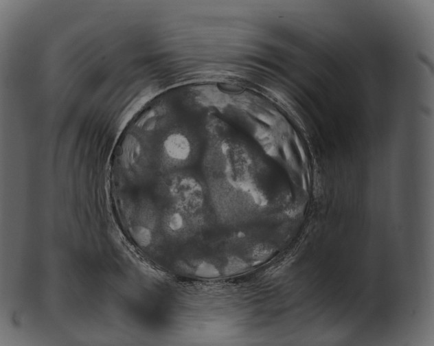 X0000100490899200807031913