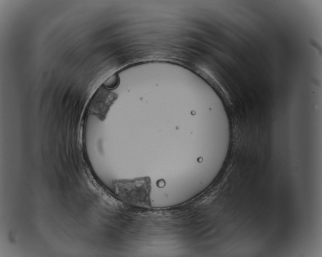 X0000100490900200807031913