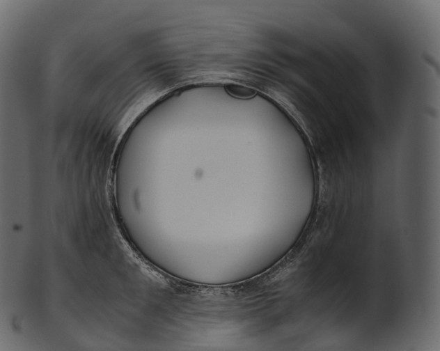 X0000100490901200807031913