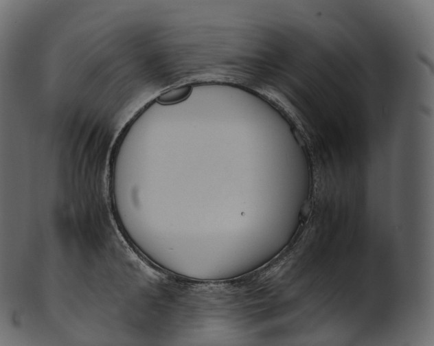 X0000100490902200807031913