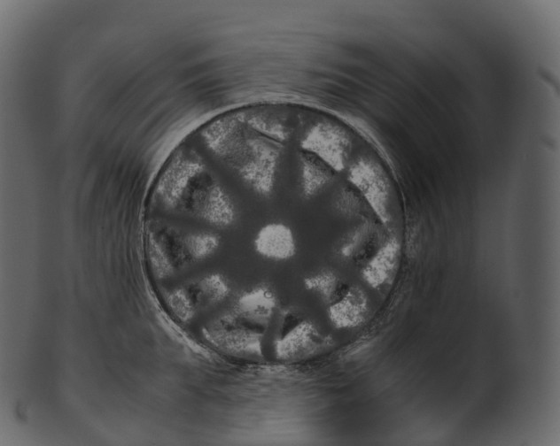 X0000100490903200807031913