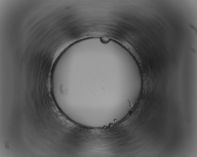 X0000100490904200807031913