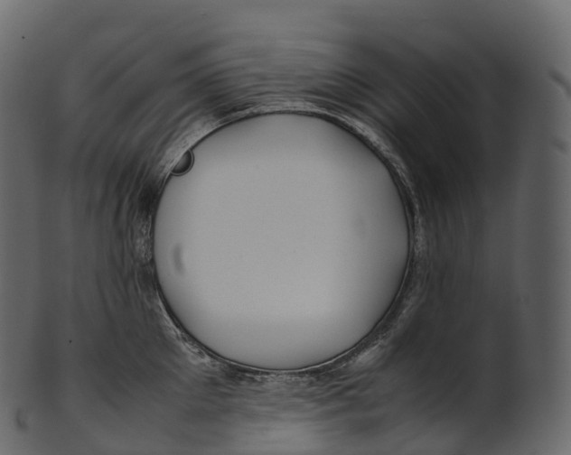 X0000100490905200807031913