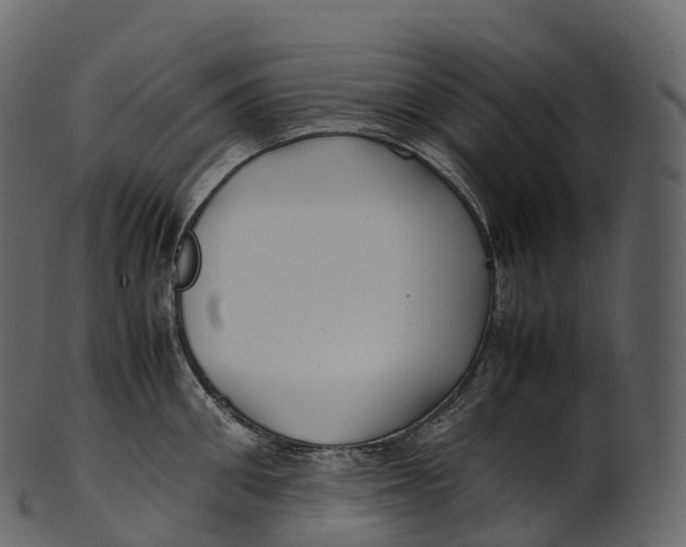 X0000100490906200807031913