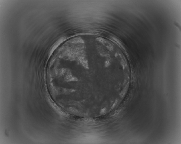 X0000100490907200807031913