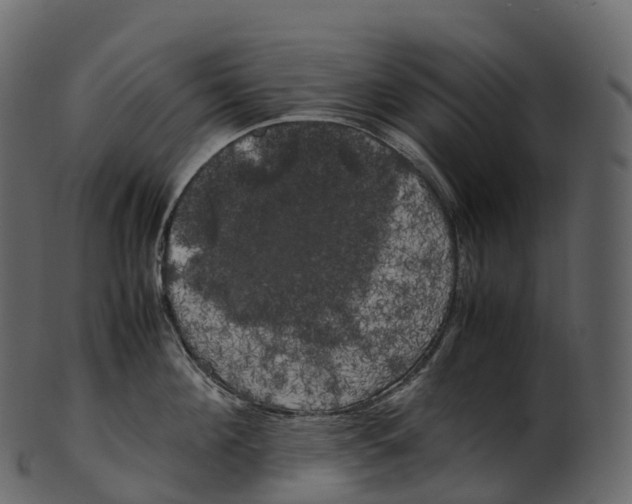 X0000100490908200807031913