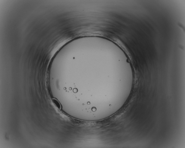 X0000100490909200807031913