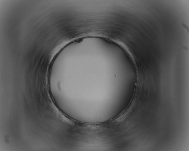 X0000100490910200807031913