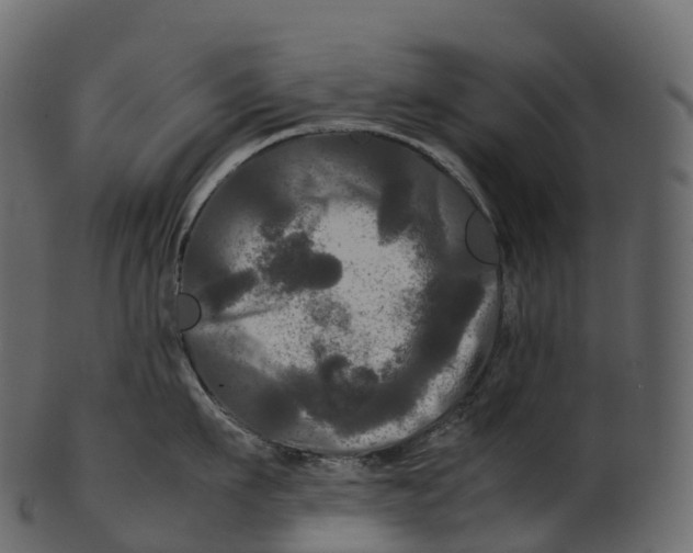 X0000100490911200807031913