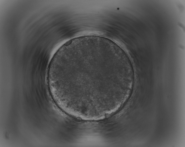 X0000100490912200807031913