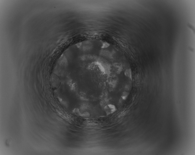 X0000100490913200807031912