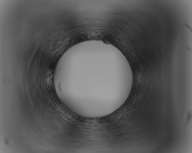 X0000100490914200807031912