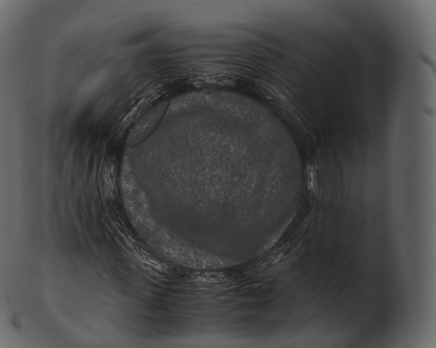 X0000100490915200807031912