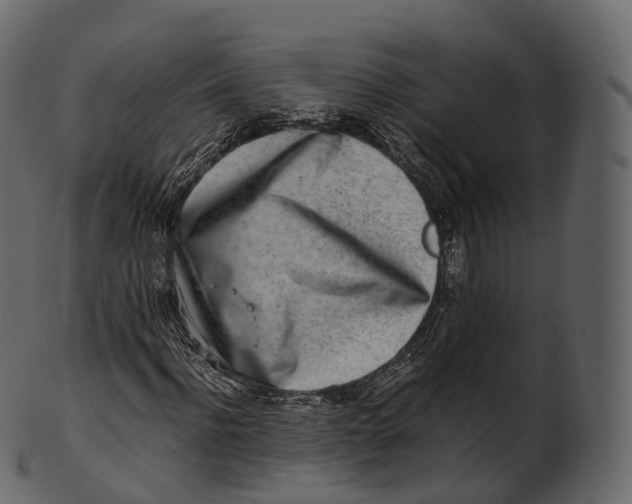 X0000100490916200807031912