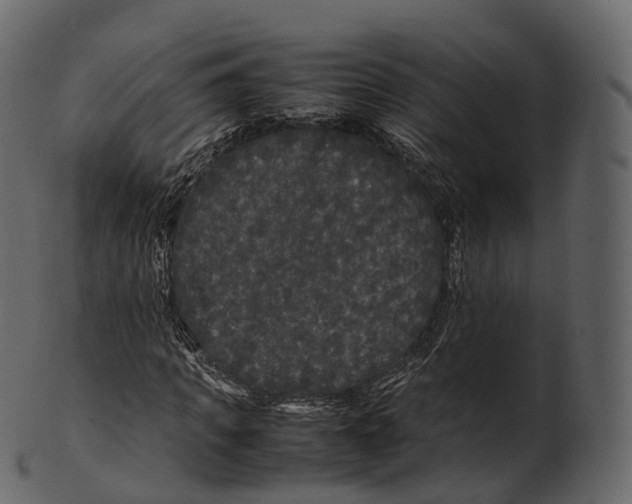 X0000100490917200807031912