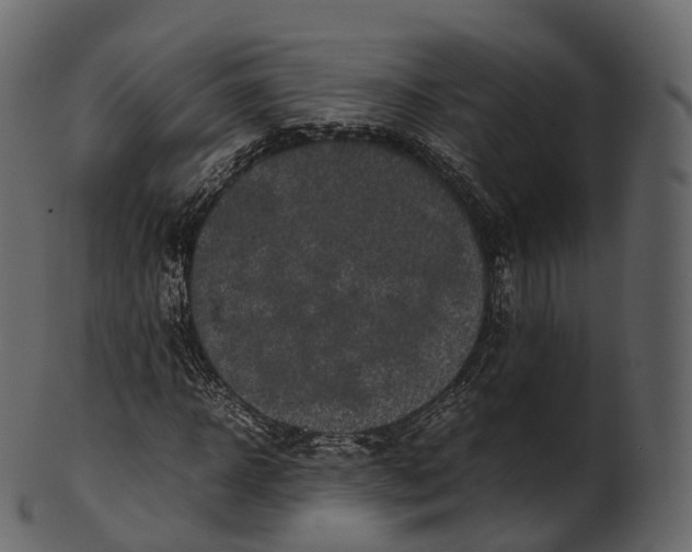 X0000100490918200807031912