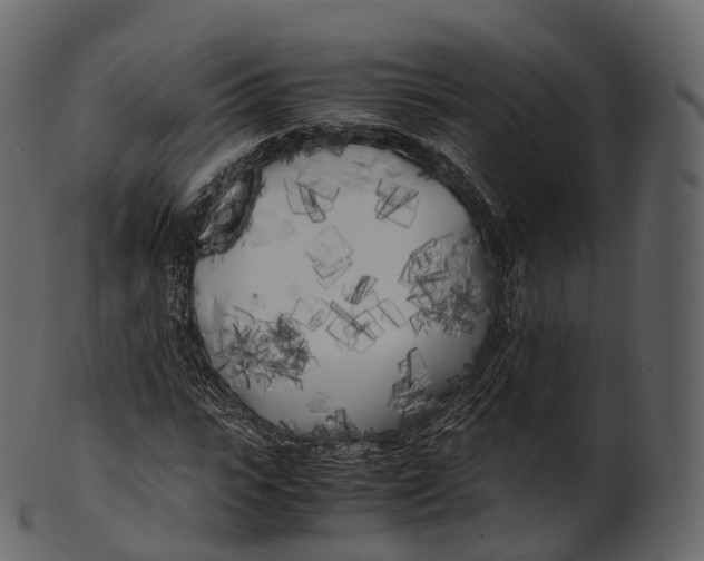 X0000100490919200807031912