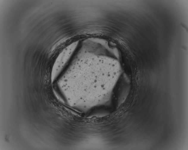 X0000100490920200807031912