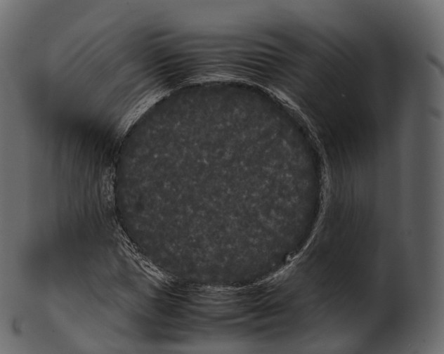 X0000100490921200807031912