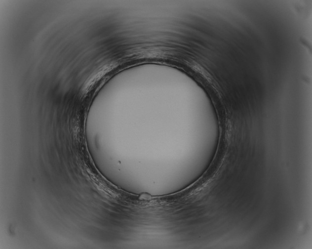 X0000100490922200807031912