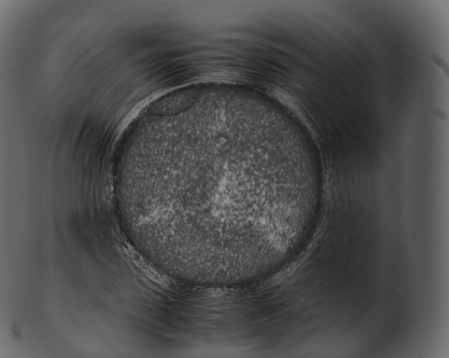 X0000100490923200807031912