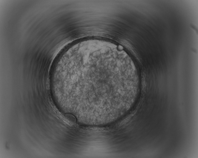 X0000100490924200807031912