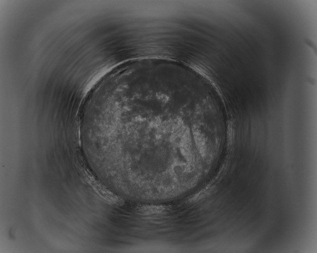 X0000100490925200807031912