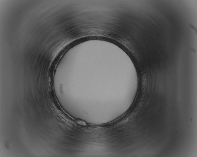 X0000100490926200807031913