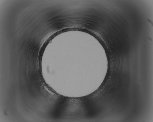 X0000100490927200807031913