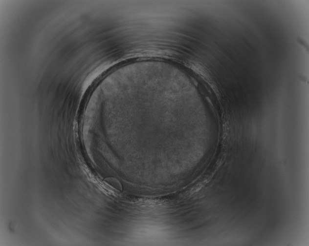 X0000100490928200807031913