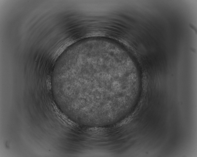 X0000100490929200807031913