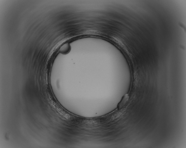 X0000100490931200807031913