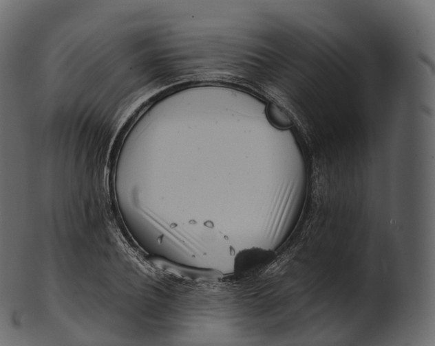 X0000100490932200807031913