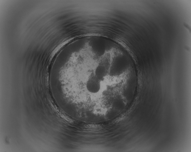 X0000100490933200807031913