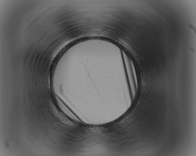 X0000100490934200807031913