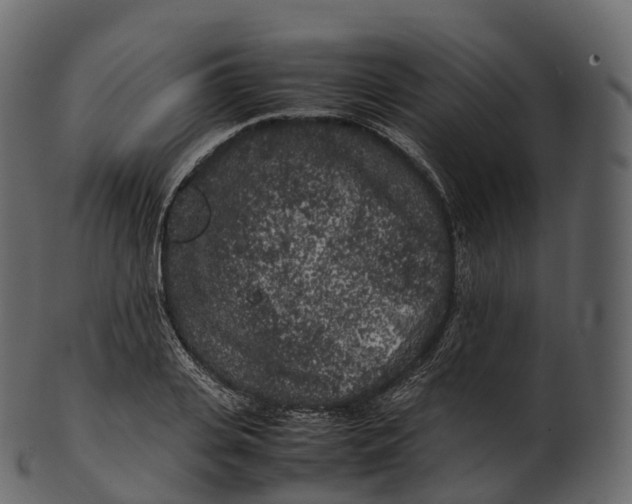 X0000100490935200807031913