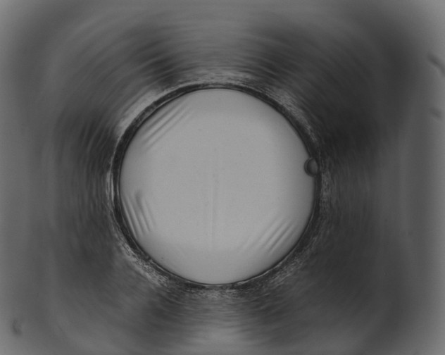 X0000100490936200807031913