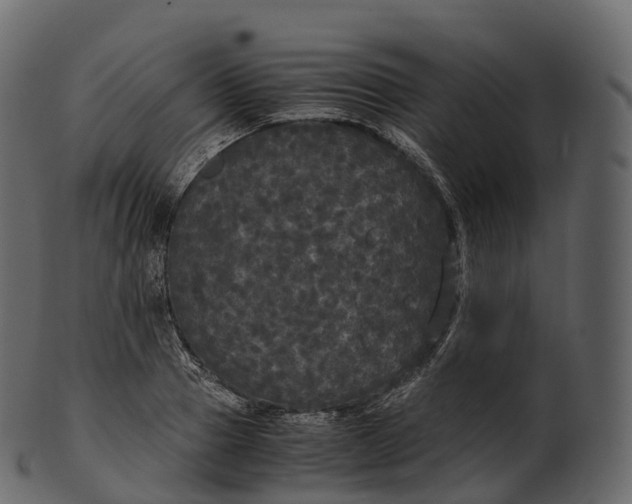 X0000100490937200807031913