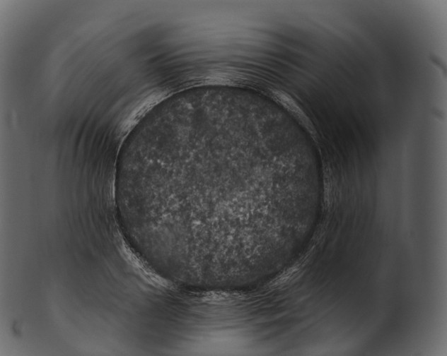 X0000100490938200807031913