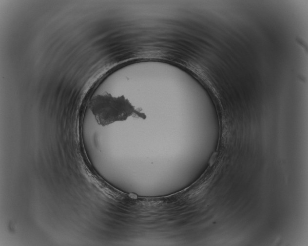 X0000100490939200807031913