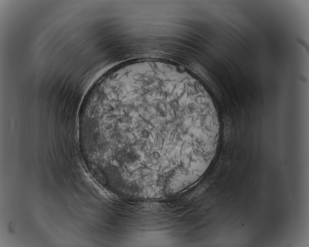 X0000100490940200807031913