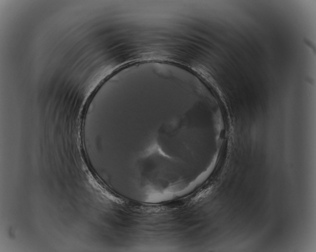 X0000100490941200807031913