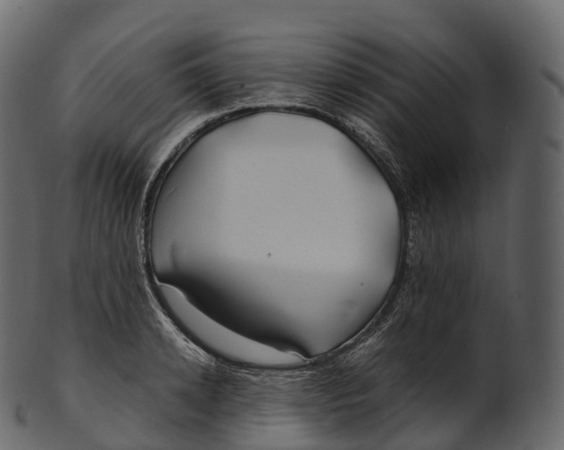 X0000100490942200807031913