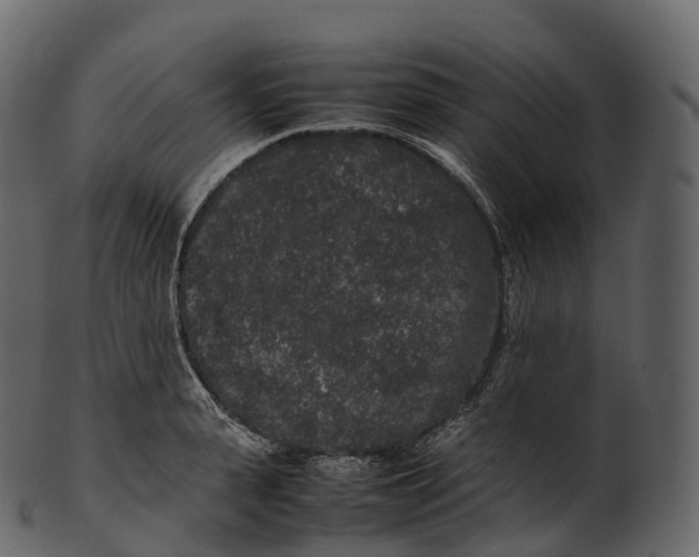 X0000100490943200807031913