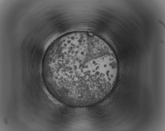 X0000100490944200807031913