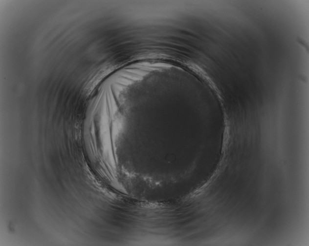 X0000100490945200807031913