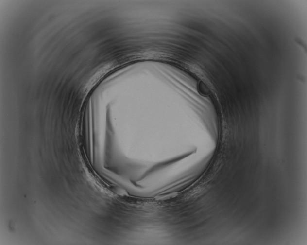 X0000100490946200807031913