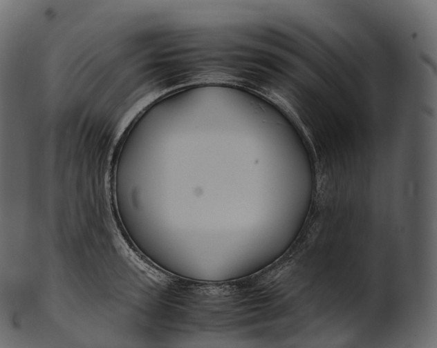 X0000100490947200807031913