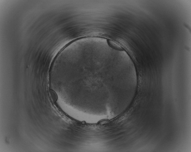 X0000100490948200807031913